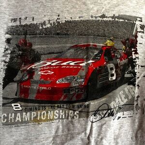 DALE EARNHARDT JR  “BUD” T-SHIRT large grey